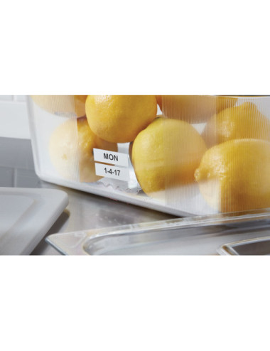 DYMO LabelManager ® ™ 210D+...