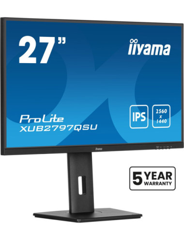 iiyama ProLite...