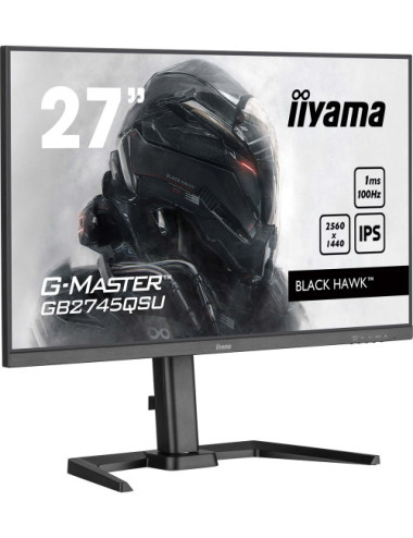 iiyama G-MASTER...