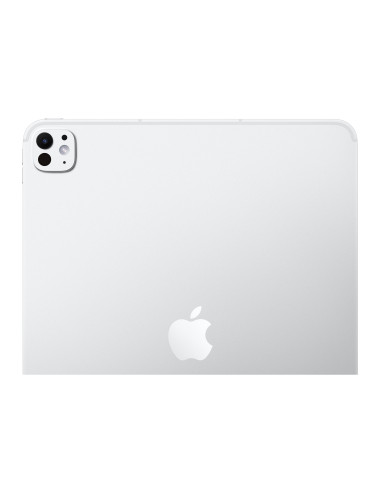 Apple 13-inch iPad Pro M5 Wi-Fi + Cellular 512GB with standard glass - Silver | Apple