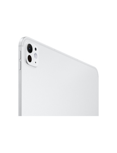 Apple 13-inch iPad Pro M5 Wi-Fi + Cellular 512GB with standard glass - Silver | Apple