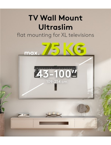 Goobay Wall mount | Ultraslim TV Wall Mount Basic FIXED (XL) | 43-100 " | Black