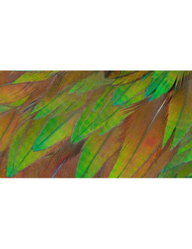 Philips 3000 series...