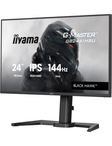 Flat Screen 24" iiyama...