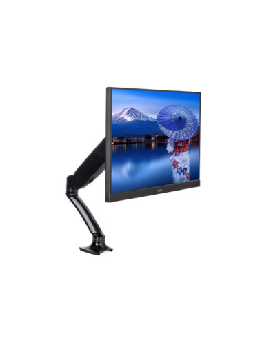 IIYAMA DS3001C-B1 Monitor...