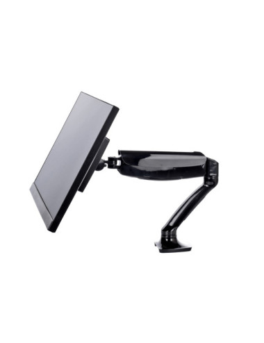 IIYAMA DS3001C-B1 Monitor...