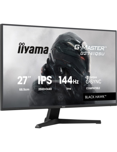 iiyama G-MASTER Monitor...