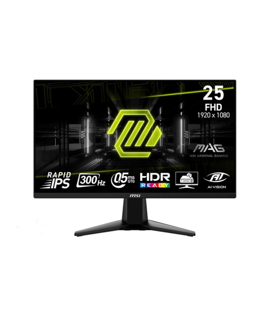LCD Monitor|MSI|24.5 "|1920x1080 pixels|Full HD|Native aspect ratio 16:9|LCD|Flat|MAG255XF
