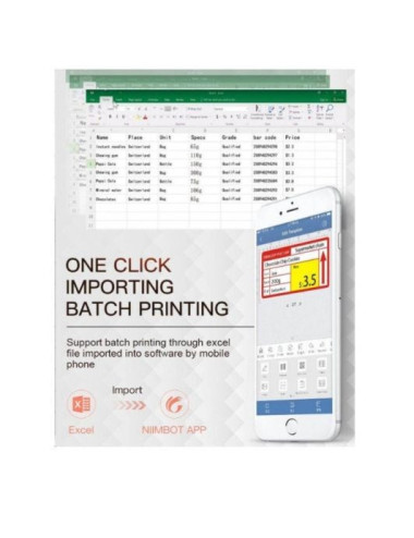 Niimbot B21 S Label...