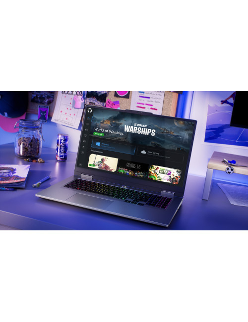 Lenovo LOQ 17IRX10 | Luna Grey | 17.3 " | IPS | FHD | 1920 x 1080 pixels | Anti-glare | Intel Core i7 | i7-13700HX | 16 GB | SO-