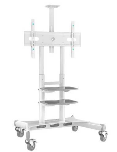 TV SET ACC MOBILE STAND/50-86"/WHITE TS1881-W ONKRON