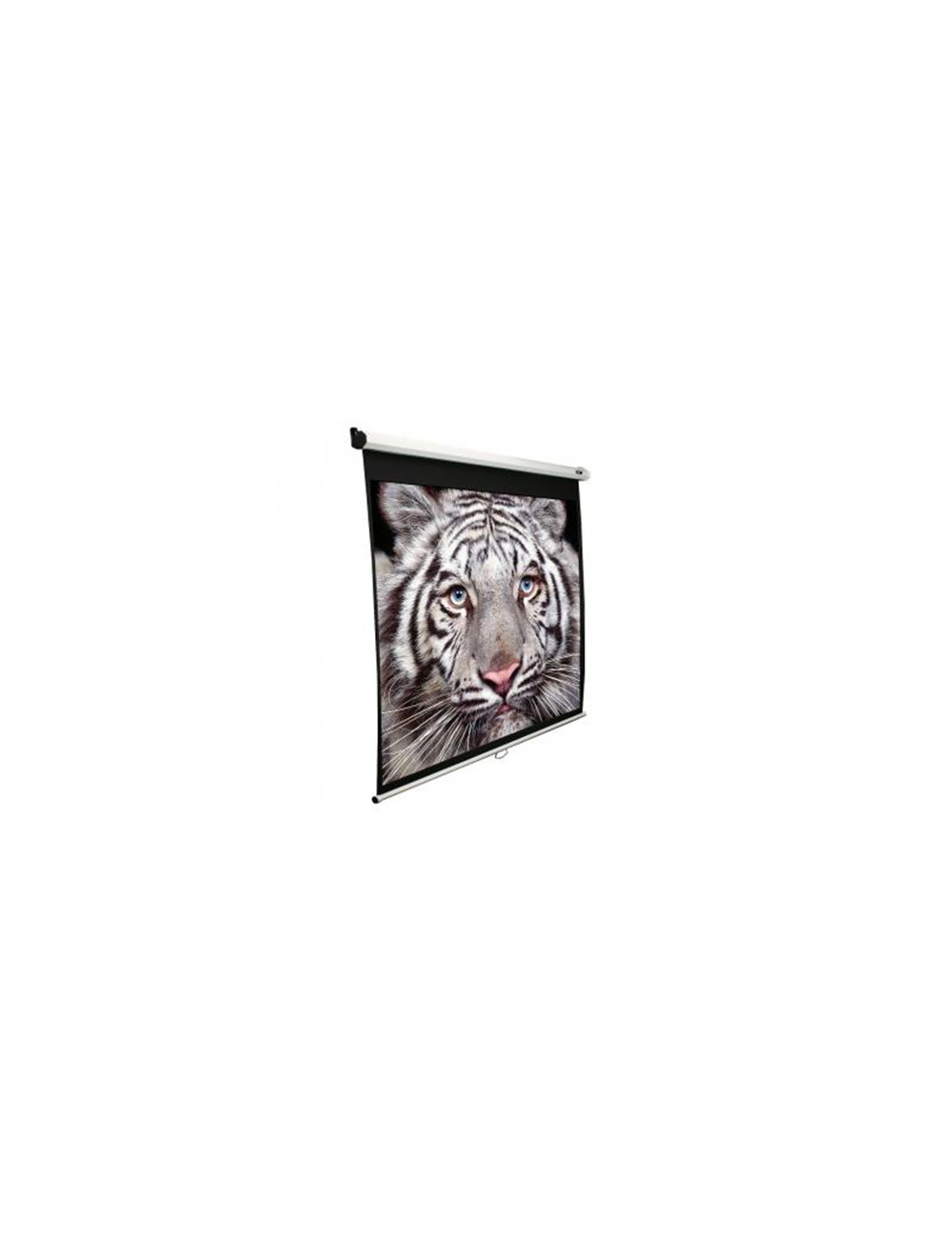 Elite Screens | M139NWX | Diagonal 353 " | 16:10 | Viewable screen width (W) 2.98 cm | White