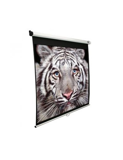 Elite Screens | M139NWX | Diagonal 353 " | 16:10 | Viewable screen width (W) 2.98 cm | White