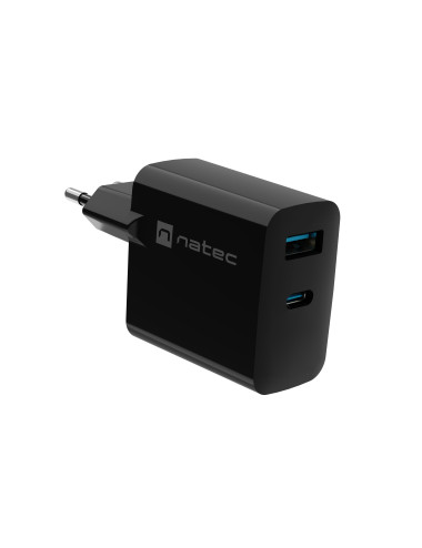 Natec Ribera USB Charger, 1x USB-A, 1x USB-C, 65W | NUC-2145