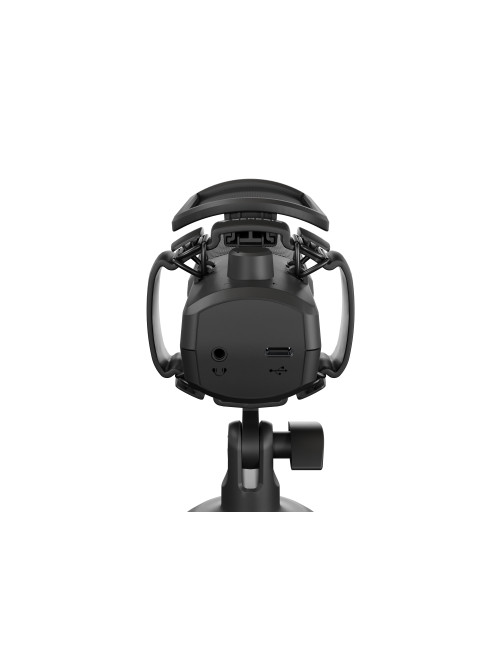 Natec | Microphone | GENESIS Radium 250 | Built-in microphone | Wired | Black