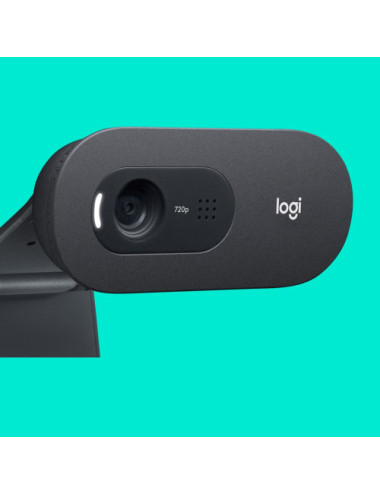 Logitech C505 HD Webcam