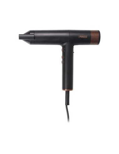 Princess 529205 hair dryer...