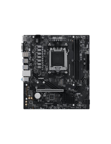 MSI PRO A620AM-B EVO | MSI