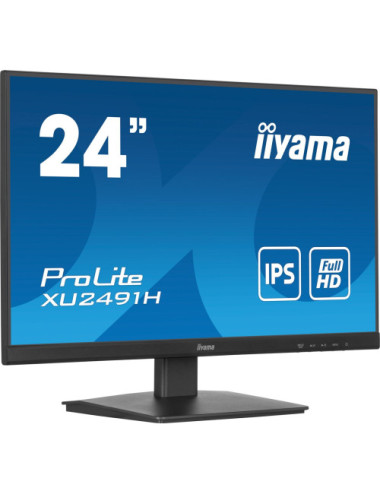 iiyama ProLite XU2491H-B1...