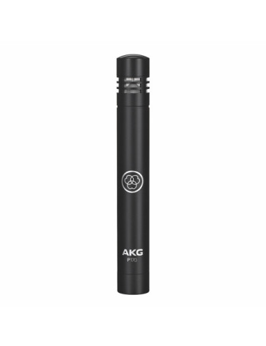 AKG P170 - instrumental...