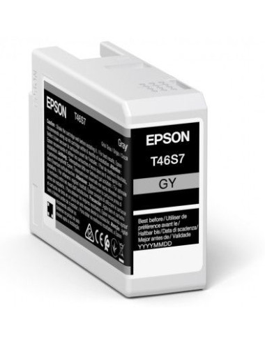 Epson UltraChrome Pro 10 ink | T46S7 | Ink cartrige | Grey