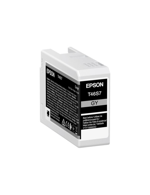 Epson UltraChrome Pro 10 ink | T46S7 | Ink cartrige | Grey