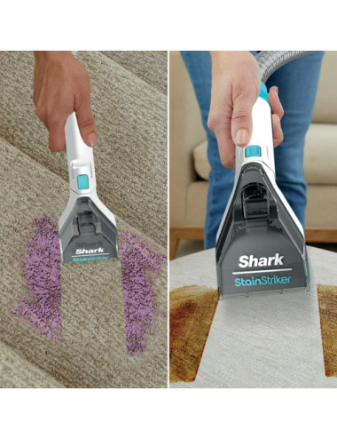 Shark PX200EUT carpet...