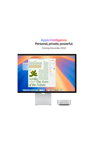 Apple Mac | Mini | Desktop | Apple M4 Pro | Internal memory 24 GB | Solid-state drive capacity 512 GB | Apple M4 Pro chip 12-cor