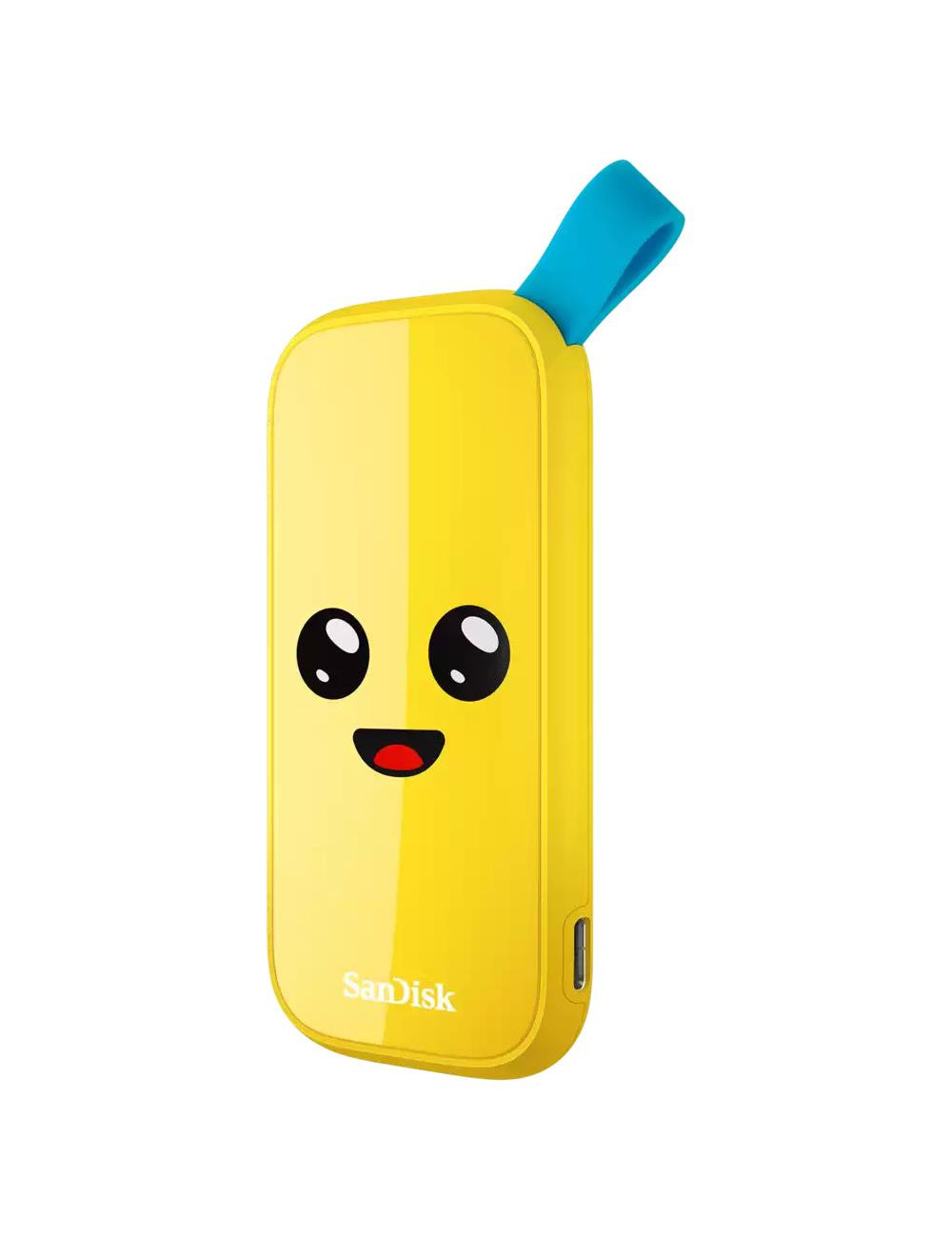 External SSD|SANDISK|1TB|USB 3.2|Read speed 800 MBytes/sec|SDSSDE30-1T00-G25F