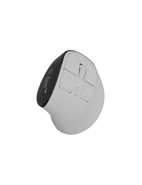 Natec Mouse | Euphonie Pro | Wireless | 2.4 GHz, Bluetooth | White