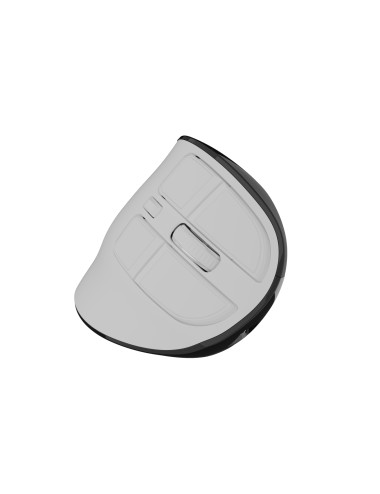 Natec Mouse | Euphonie Pro | Wireless | 2.4 GHz, Bluetooth | White