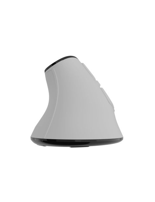 Natec Mouse | Euphonie Pro | Wireless | 2.4 GHz, Bluetooth | White