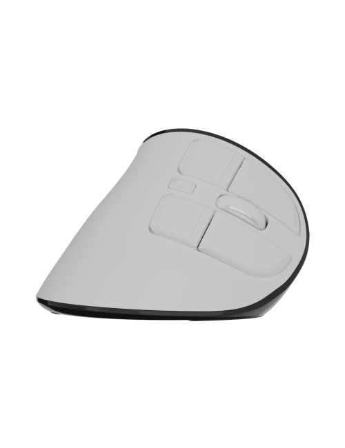 Natec Mouse | Euphonie Pro | Wireless | 2.4 GHz, Bluetooth | White