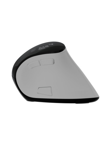 Natec Mouse | Euphonie Pro | Wireless | 2.4 GHz, Bluetooth | White