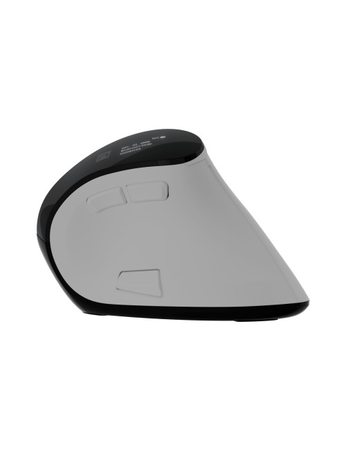 Natec Mouse | Euphonie Pro | Wireless | 2.4 GHz, Bluetooth | White