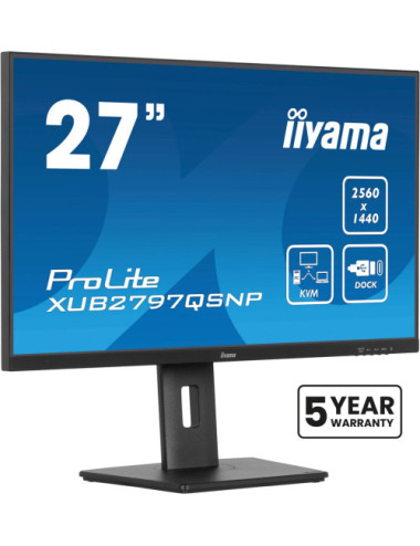 iiyama ProLite...