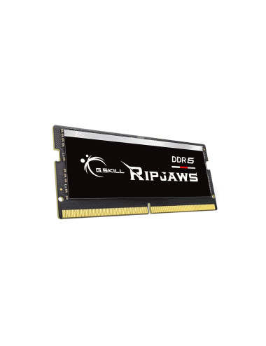 G.Skill Ripjaws | 32 GB | DDR5 | 4800 MHz | PC/server | Registered No | ECC No
