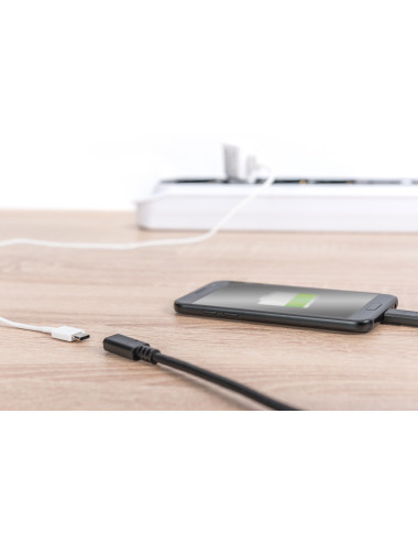 Digitus USB Type-C Gen2 extension cable, Type-C to C | AK-300210-007-S