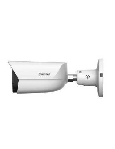 Dahua IP Camera Model...