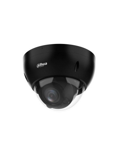 Dahua Technology WizSense...