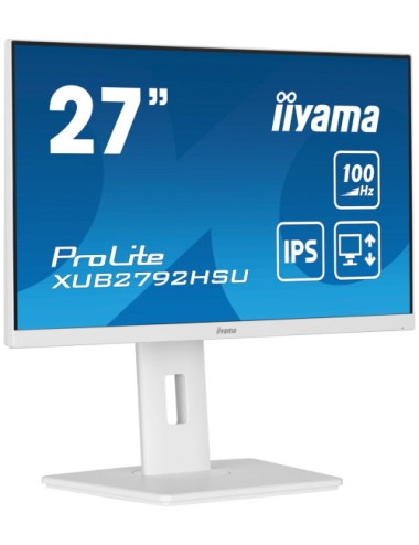 iiyama ProLite...