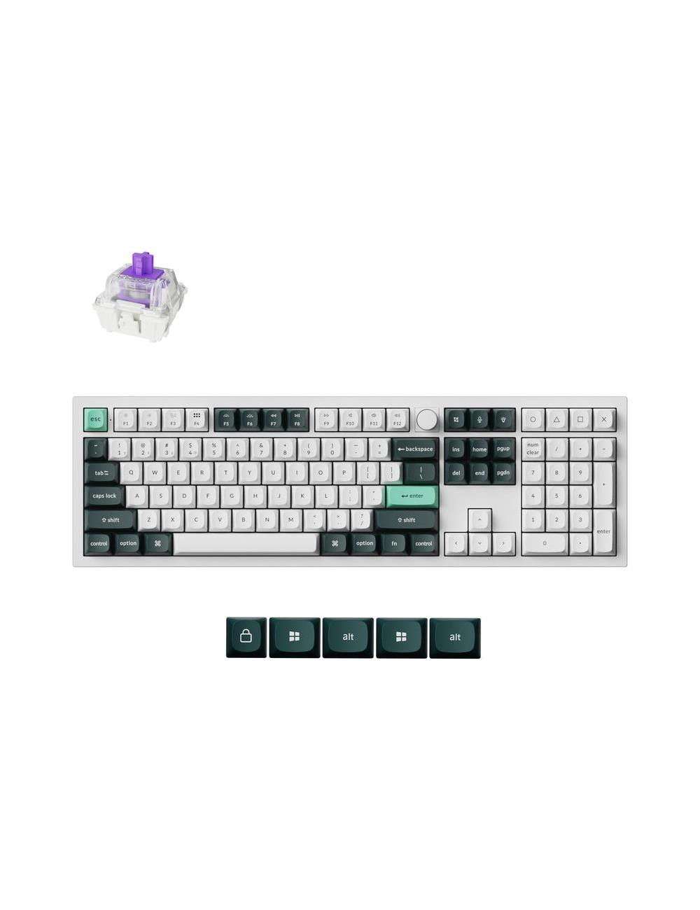 KEYBOARD WRL Q6 HE RGB/SHELL WHITE Q6H-P1 KEYCHRON