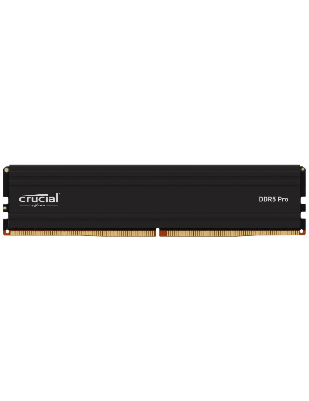 MEMORY DIMM PRO 48GB DDR5-5600/CP48G56C46U5 CRUCIAL