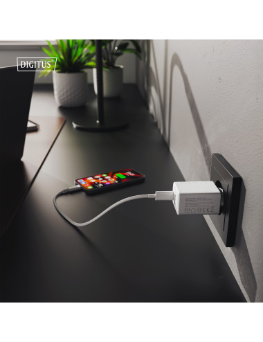 Digitus Battery charger, 20W | DA-10300