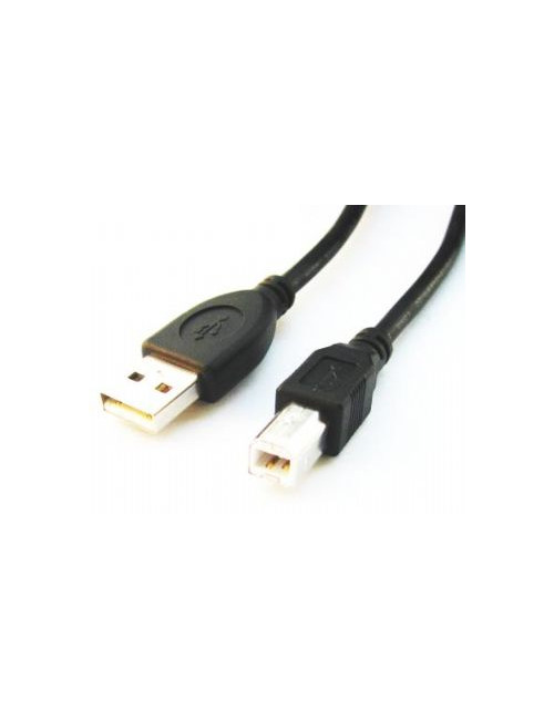 Cablexpert | CCP-USB2-AMBM-6 | USB-A to USB-B USB A | USB B