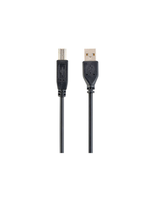 Cablexpert | CCP-USB2-AMBM-6 | USB-A to USB-B USB A | USB B