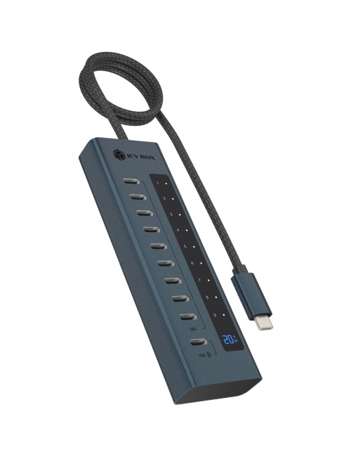 Icy Box 10 ports USB Type-C Gen 2 hub