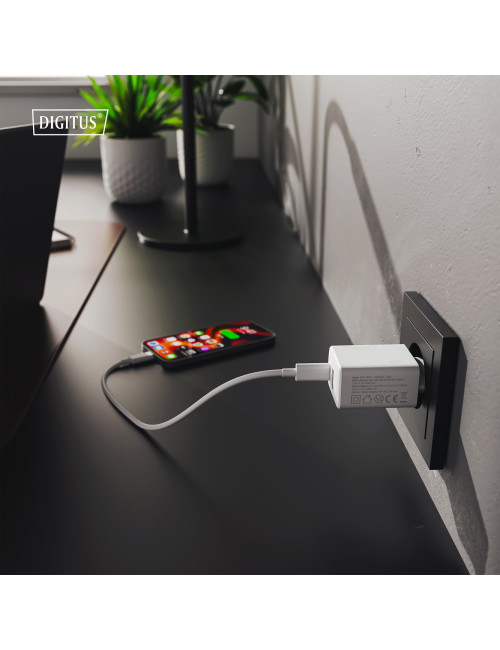 Digitus Battery charger, 30W | DA-10301