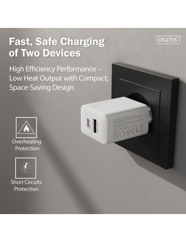 Digitus Battery charger, 30W | DA-10301