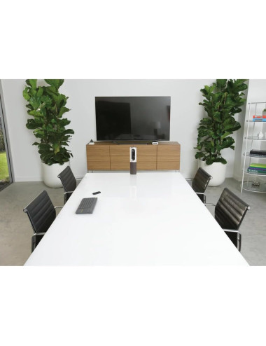 Konferencinė kamera...